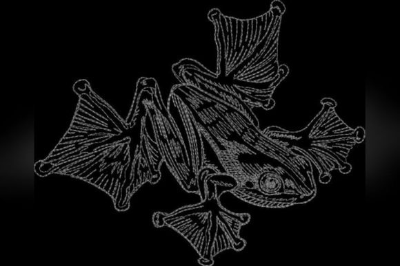 A Frog Embroidery Design for Seasonal Gift Projects