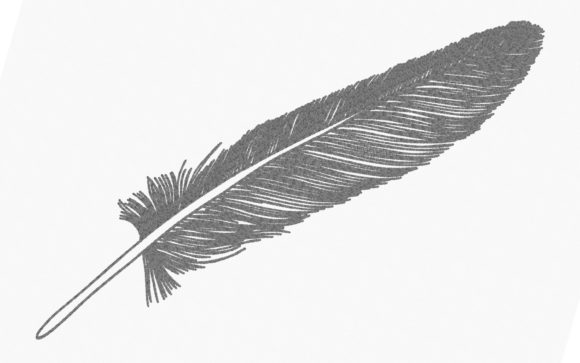 Feather One Line Embroidery: A Chic Sweatshirt Accent